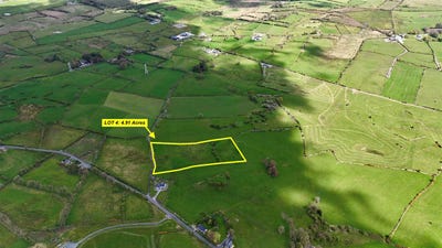 /international/ie/4-9-acres-approx-at-carton-elphin-roscommon-210109670645/