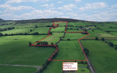 /international/ie/ballyroe-east-ballingarry-limerick-210110286928/