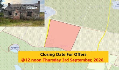 /international/ie/meenshaffin-pettigo-donegal-210109799731/