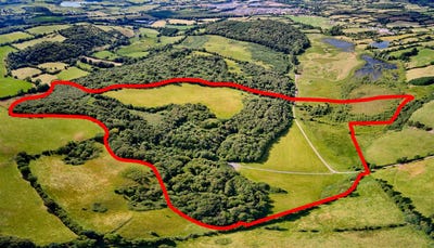 /international/ie/dromone-oldcastle-meath-210109712724/