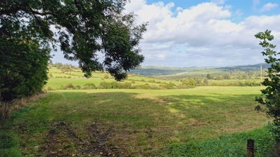 /international/ie/dromtrasna-abbeyfeale-limerick-210109671967/
