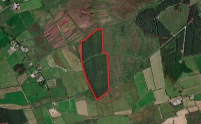 /international/ie/rathea-listowel-kerry-210109670688/