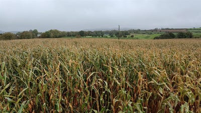 /international/ie/killalesh-lower-c-23-acres-baltinglass-wicklow-210109669799/