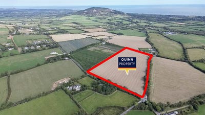 /international/ie/kilmurry-c-20-acres-gorey-wexford-210110053004/