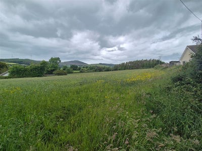 /international/ie/coolnaleen-enniscorthy-wexford-210109670489/