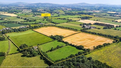 /international/ie/south-land-lisnavagh-rathvilly-carlow-210109670198/