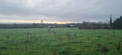 /international/ie/2-x-3-5-acres-sites-spp-palatine-carlow-210109680363/