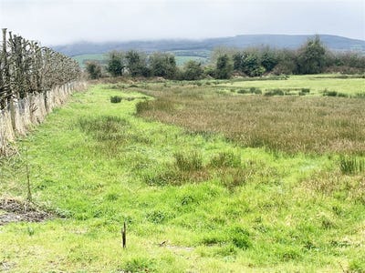 /international/ie/ballinahown-kilmallock-westmeath-210109670930/