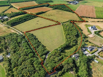 /international/ie/c-8-78-hectares-21-70-acres-at-nicharee-duncormick-wexford-210109677100/