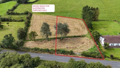/international/ie/murroe-wood-murroe-limerick-210109669969/