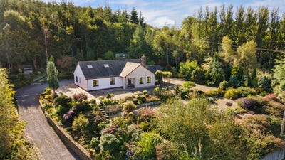 /international/ie/ashirvad-coolaflake-rathdrum-wicklow-210109683813/