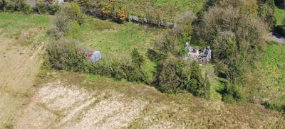 /international/ie/rushpark-farragher-ballymacurley-four-mile-house-roscommon-210109679810/
