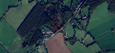 /international/ie/carrig-hill-enniscorthy-wexford-210109675521/