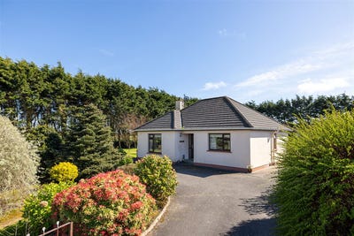 /international/ie/-the-willows-sarshill-kilmore-village-wexford-210109671367/