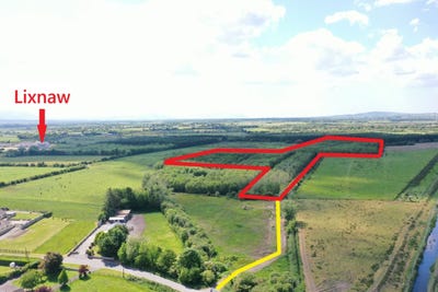 /international/ie/19-7-acres-forestry-plantation-clogher-lixnaw-kerry-210109671576/