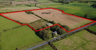 /international/ie/lurgan-caltra-galway-210110360371/