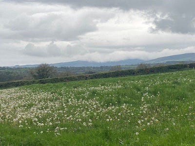 /international/ie/site-b-at-ballyminane-mills-enniscorthy-wexford-210109676340/