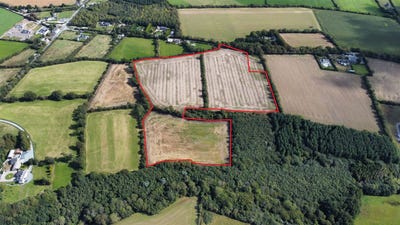 /international/ie/c-21-36-acres-holding-at-tullycanna-ballymitty-wexford-210109674780/