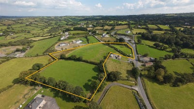 /international/ie/lot-3-crowley-shercock-cavan-shercock-cavan-210110330096/