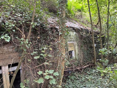 /international/ie/knockainey-hill-hospital-knockainey-limerick-210119756114/