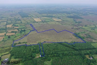 /international/ie/28-05-acres-cloontarsna-castlerea-roscommon-210109670597/