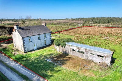 /international/ie/caggle-strokestown-roscommon-210109672695/