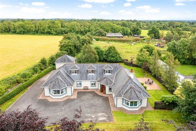 /international/ie/gallow-summerhill-roscommon-210109678636/