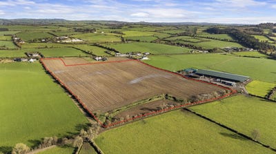 /international/ie/gernonstown-slane-meath-210109675268/