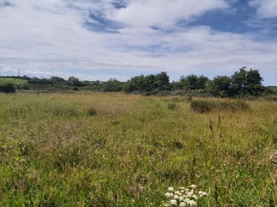 /international/ie/carrigeens-ballinphull-north-sligo-sligo-210109670252/