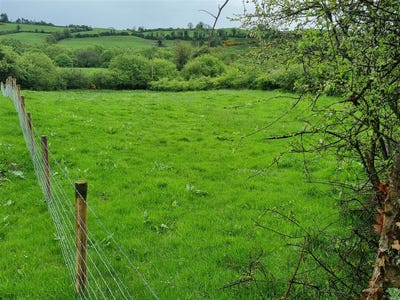 /international/ie/fahymore-kilmore-co-clare-bridgetown-wexford-210109670579/