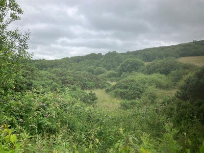 /international/ie/6-94-acres-at-ballysallagh-hacketstown-carlow-210109669874/