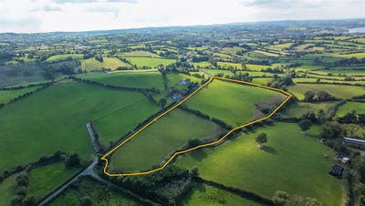 /international/ie/lot-4-crowley-shercock-co-cavan-shercock-cavan-210110330137/
