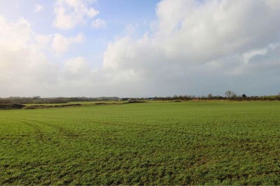 /international/ie/53-62-acres-coolderry-ardcroney-nenagh-tipperary-210109671164/