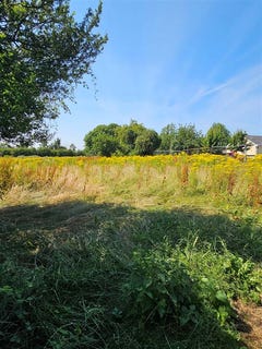 /international/ie/kilcloncorkry-rathangan-kildare-210109670730/