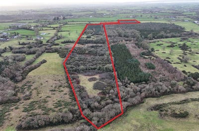 /international/ie/crokerspark-pallaskenry-limerick-210109684815/