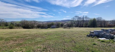 /international/ie/jollys-lane-clonogan-clonegal-wexford-210109677542/