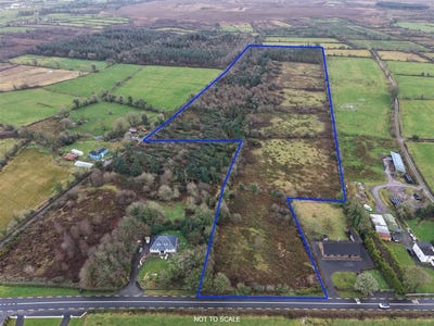 /international/ie/c-20-88-acres-foughil-trien-castlerea-roscommon-210109675930/