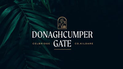 /international/ie/donaghcumper-gate-dublin-road-celbridge-limerick-210109670389/
