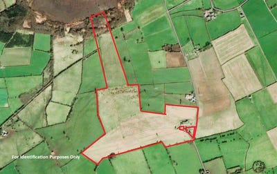 /international/ie/lands-corrigeen-rathcabbin-cotipperary-tipperary-210119756055/