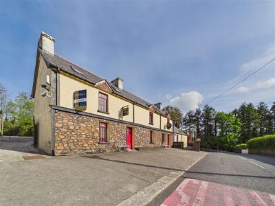 /international/ie/ranchers-return-coon-west-kilkenny-kilkenny-210109671853/