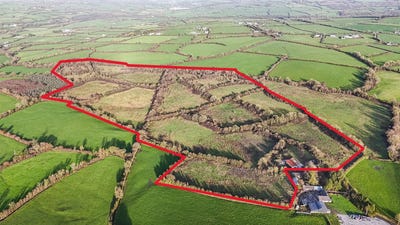 /international/ie/c-23-33-hectares-at-muckalee-ballyfoyle-kilkenny-210109686435/