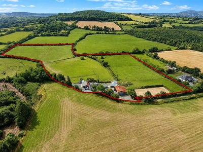 /international/ie/brocurrow-adamstown-wexford-210119619305/