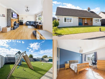 /international/ie/7-masslough-meadow-ballinakill-laois-210109822088/