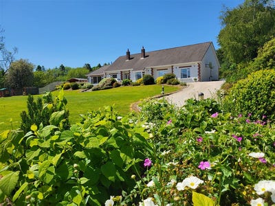 /international/ie/-ash-grove-baltyboys-blessington-wicklow-210109674525/