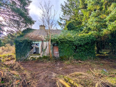 /international/ie/srah-lower-carracastle-co-mayo-ballaghaderreen-roscommon-210109685572/