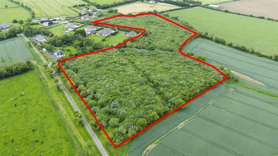 /international/ie/c-12-18-acres-at-ellistown-ballyboughal-dublin-210109677831/