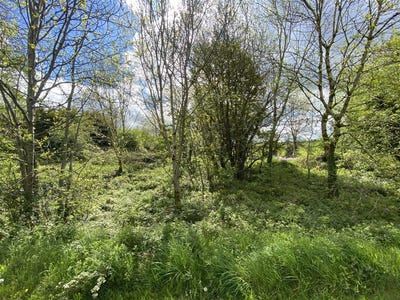 /international/ie/johnstown-ballyhaunis-kildare-210109719872/