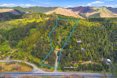 /international/nz/0-state-highway-1-dome-forest-warkworth-auckland-380119875071/