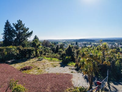 /international/nz/7-gay-street-ross-west-coast-380119855275/