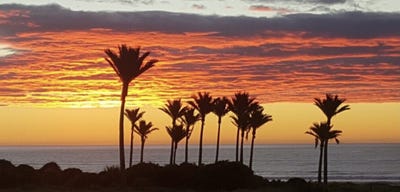 /international/nz/450-state-highway-67-westport-west-coast-380119829413/